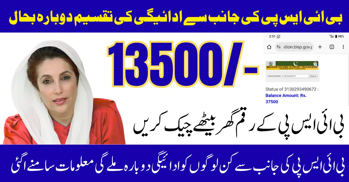 BISP 8171 July 2025 Payments Restart For Recent Eligiable Women
